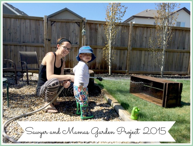 Sawyer & Me: Our Gardening project